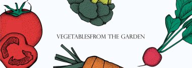 Vektör sebze ile banner. Kavram sağlıklı gıda. Brokoli, havuç, domates, turp