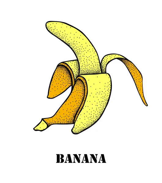 Vector banana icon, fruit illustration. — Stock Vector