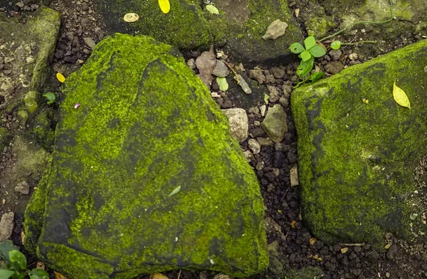 Kő. a textute. Háttérkép. Kerti kőböl — Stock Fotó