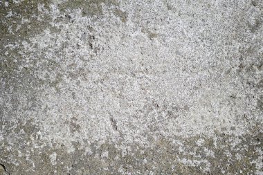 Gri beton beton duvar veya zemin, soyut arka plan fotoğraf dokusu