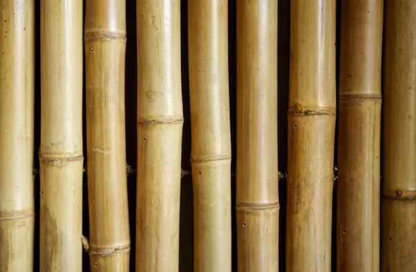 Коричневий тон бамбукової дошки текстури паркану для фону — стокове фото