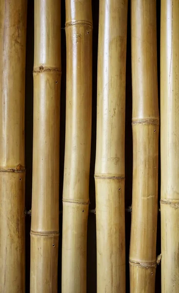 Фон з бамбукового паркану. бамбукова текстура — стокове фото