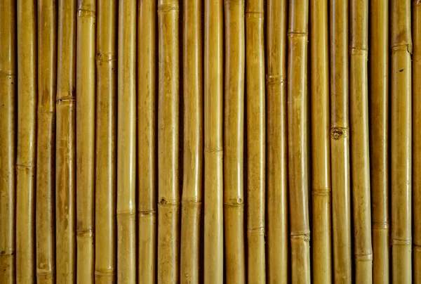 Brun bambu staket bakgrund. Bambu textur — Stockfoto