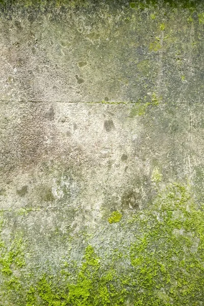 Piszkos öreg falat fűvel. Háttér. Textúra — Stock Fotó