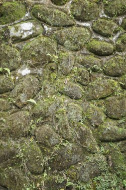 Bloklar arasında bitki bulunan doğal kayalardan yapılmış antik bir duvar