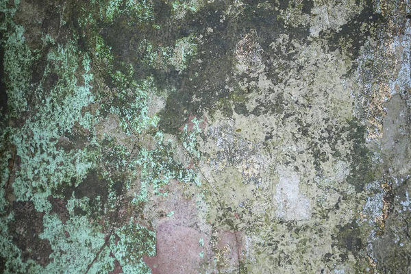 Cement wall background. Texture placed over an object to create a grunge effect for your design — Stock Photo, Image