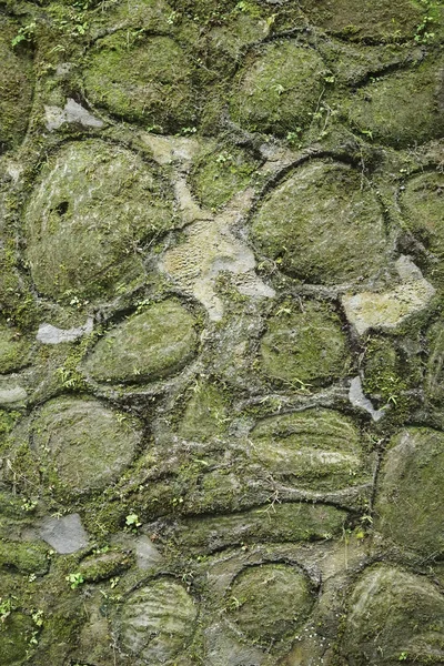 Abstracte achtergrond van stenen muur textuur met groene mos — Stockfoto