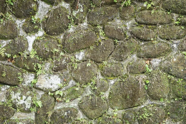 Ancient wall made of natural rocks with plants between blocks — Stock Photo, Image