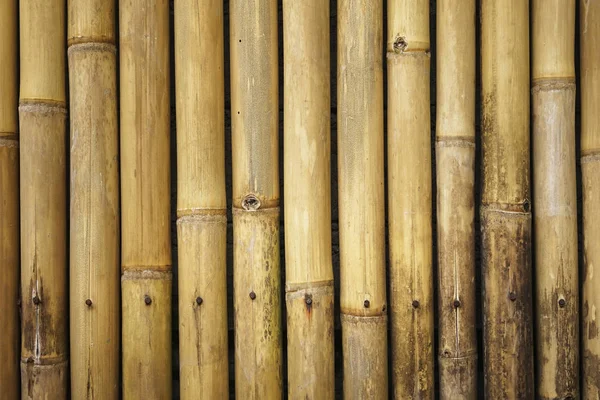 Старий коричневий бамбук тлі огорожі. Бамбукова текстура — стокове фото