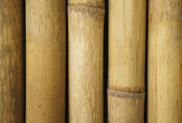 Brun bambu staket bakgrund. Bambu textur — Stockfoto