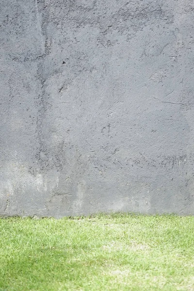 Pared de hormigón gris con fondo de textura de suelo de hierba — Foto de Stock