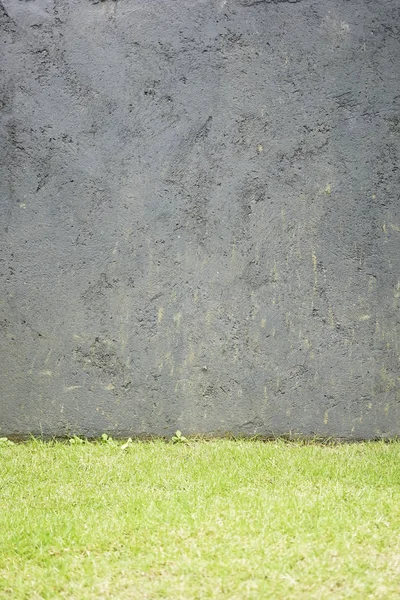Pared de hormigón gris con fondo de textura de suelo de hierba — Foto de Stock