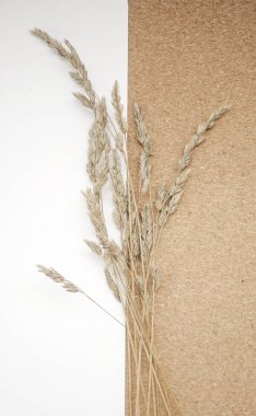 Beyaz-kahverengi arka plandaki kulaklar. Mockup. Metniniz