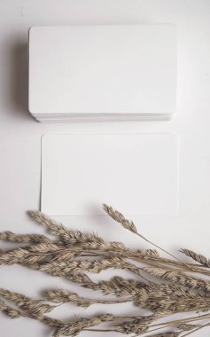 Sivri kartvizit maket. Kartvizit fotoğrafı. Marka kimliği şablonu. Dalga geç. Mock