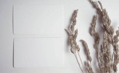 Sivri kartvizit maket. Kartvizit fotoğrafı. Marka kimliği şablonu. Dalga geç. Mock