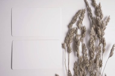 Sivri kartvizit maket. Kartvizit fotoğrafı. Marka kimliği şablonu. Dalga geç. Mock