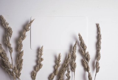 Sivri kartvizit maket. Kartvizit fotoğrafı. Marka kimliği şablonu. Dalga geç. Mock