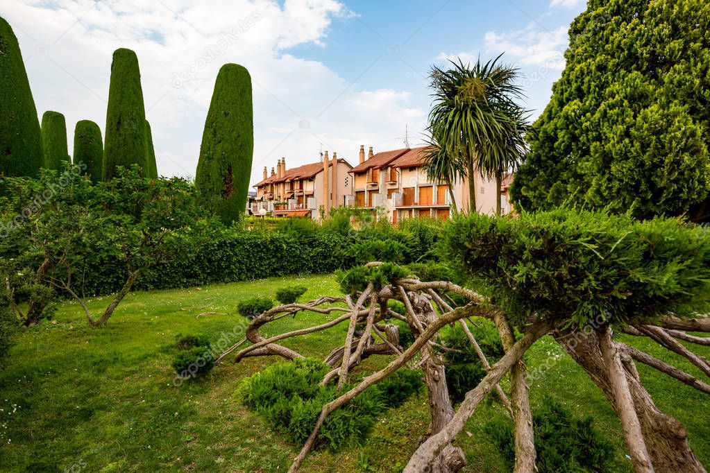 Public city park with several strangely shaped cypress trees in Sirmione next to lake Lago di Garda, Italy