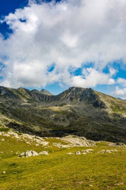 Sahne yaz dikey görüntü yatay, muhteşem doğa ve yeşil çayırlar, Pirin Dağı, Bulgaristan