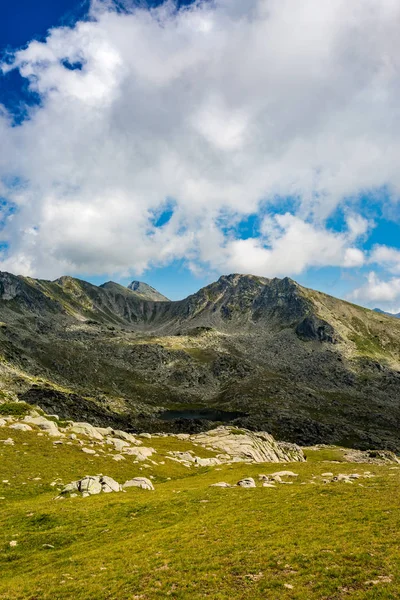 Sahne yaz dikey görüntü yatay, muhteşem doğa ve yeşil çayırlar, Pirin Dağı, Bulgaristan