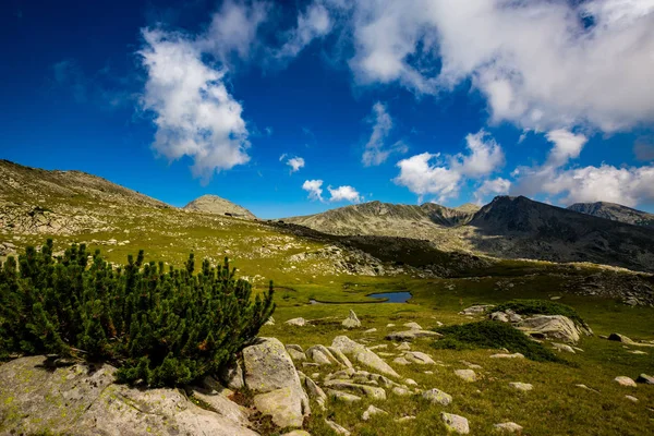 Scenery Colorful Summer Landscape Green Bush Huge Rock Pirin Mountain — Stock Photo, Image