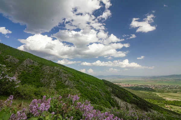 Fiori Lilla Fronte Alla Fortezza Medievale Chiamata Anevo Kale Nella — Foto Stock