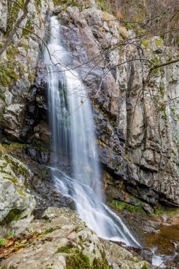 Uzun pozlama fotoğraf Boyanski şelale, Sofya yakınındaki Boyana nehir Güz, soğuk sonbahar günü bulanık