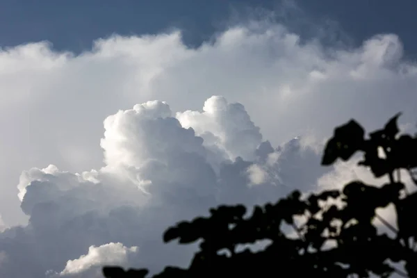 Nagy Göndör Felhő Kék Fényes Nap Délután Naplemente Előtt Bolyhos — Stock Fotó