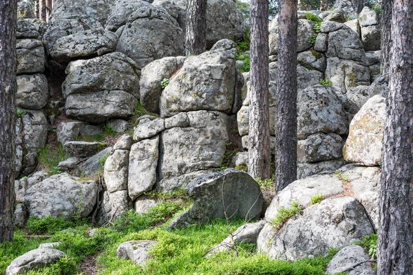 Granite rock fairy-tail formations inside pine tree forest in the Atoluka region in Rhodope mountain, Bulgaria near the town of Bratzigovo