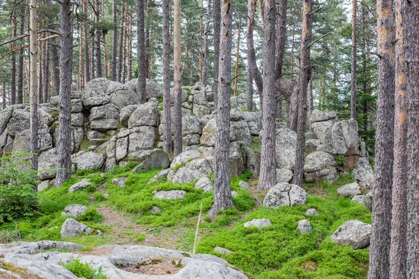 Granite rock fairy-tail formations inside pine tree forest in the Atoluka region in Rhodope mountain, Bulgaria near the town of Bratzigovo