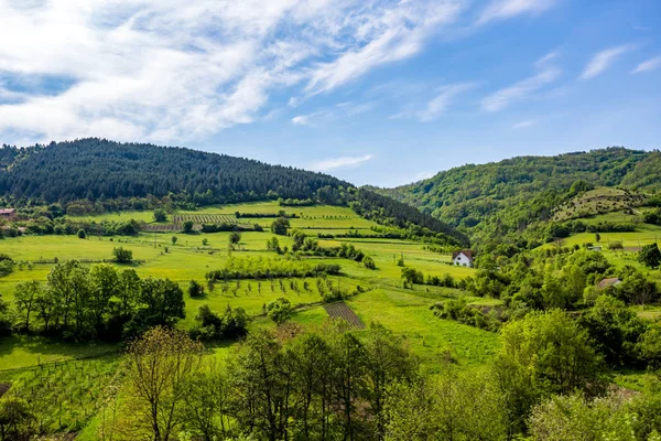 Зеленая весенняя деревня Сербии — стоковое фото