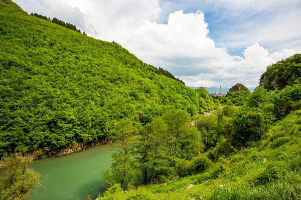 Yeşil bahar manzara, nehir ve fabrika, Sırbistan