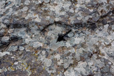 Gündüz bahar bakış inanılmaz Devil's Canyon doğal olay Bulgaristan, olarak da bilinen Sheytan Dere Studen Kladenetz rezervuar Rodop dağ yakınındaki alınan. Liken buzlu, yakın çekim