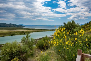 Butrint Milli Parkı, Arnavutluk, yüksek bakış gözlem güverte sarı çalılar çiçekleri ile bahar canlı renkler manzara