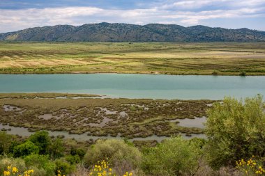 Butrint Milli Parkı, Arnavutluk, yüksek bakış gözlem güverte sarı çalılar çiçekleri ile bahar canlı renkler manzara