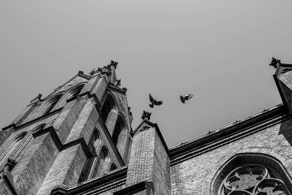 Duvor som jagar varandra på kyrkans tak, Prag — Stockfoto