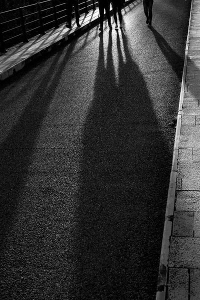 Long evening shadows of four persons walking
