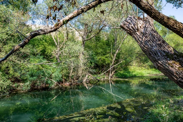 Scenery calm riverbed, natural parkland, Bulgaria