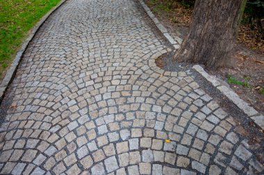 Prag'da genel park döşeli sokakta