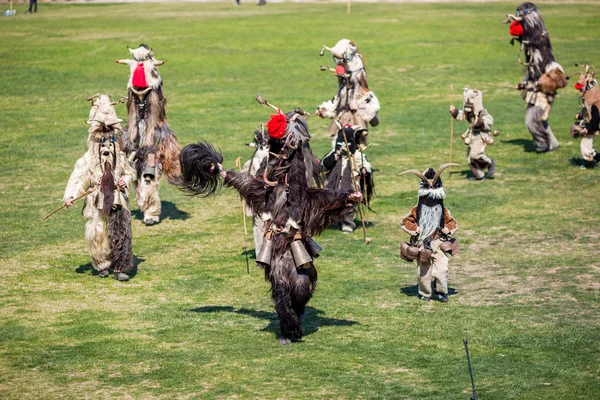 Festival de folclore e máscaras búlgaro Varvara — Fotografia de Stock