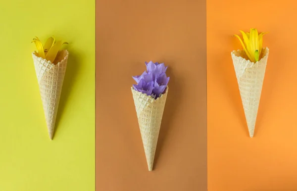 ice cream cones filled with flowers lie on fashionable pastel-colored paper yellow, mustard