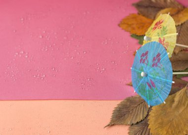 şemsiye çok renkli bir arka planda sonbahar konsepti