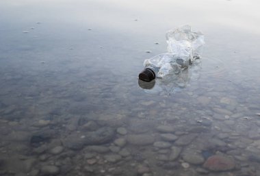 plastik bir şişe suda yüzer, çöp işleme sorunu