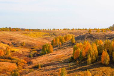 Tepeler ve sarı yapraklar, sonbahar, banliyö yatay