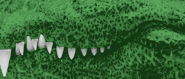 Dentes e pele de dragão . — Fotografia de Stock
