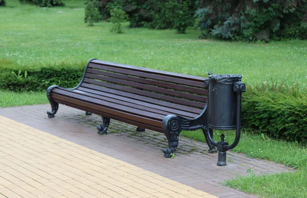 Enkele Bank Van Gietijzer Zomertuin — Stockfoto