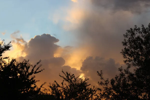 Clouds Rays Sunset Background Silhouette Trees — Stock Photo, Image