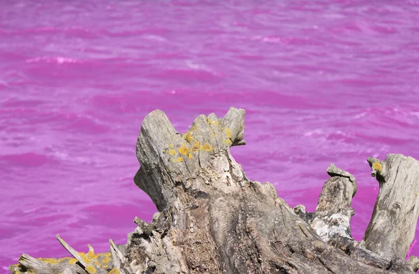 Çevresel kirlilik, kimyasal atıkların su cisimlerine boşaltılması.