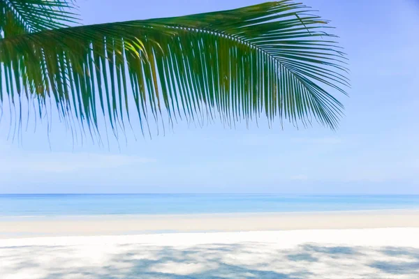 Summer Holidays background. Palm leaves, fluffy clouds, blue sea, white sand. Tropical beach.