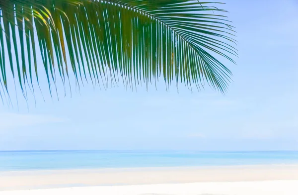 Summer Holidays background. Palm leaves, fluffy clouds, blue sea, white sand. Tropical beach.